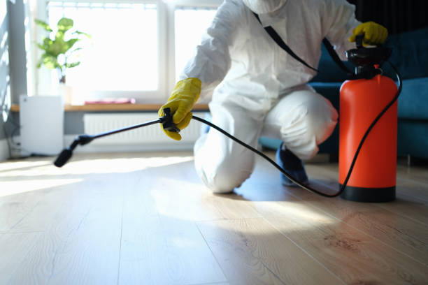 Reliable Odor Removal contractor in Oxford, NJ by Trauma Clean Pros